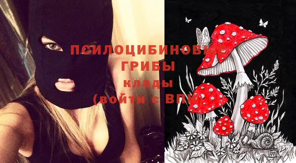 МДПВ Алексин