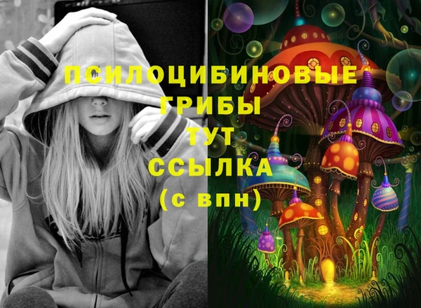 прущие крисы Алзамай