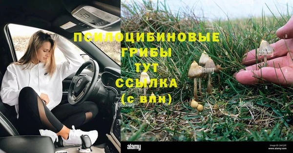 МДПВ Алексин