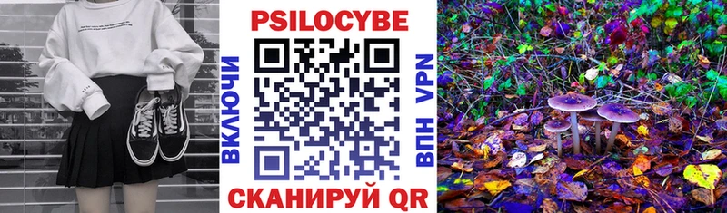 Псилоцибиновые грибы MAGIC MUSHROOMS  Навашино 